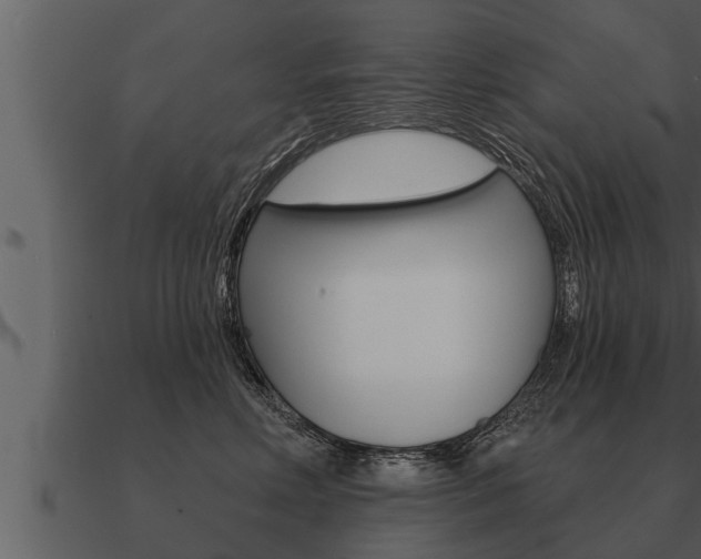 X0000091090618200708061000