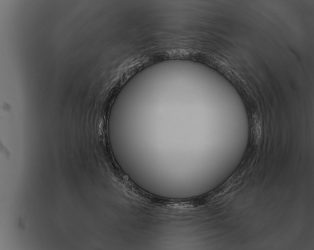 X0000091090619200708061000