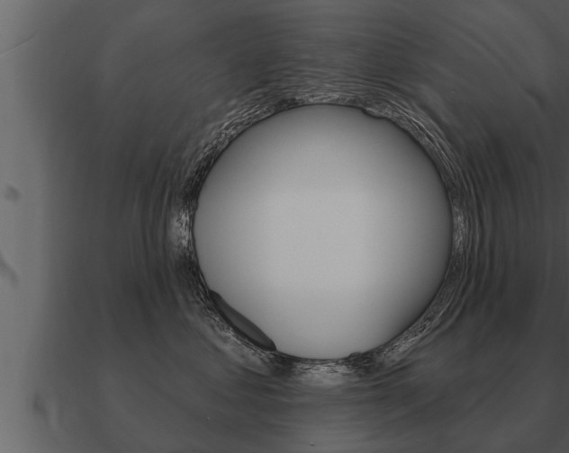 X0000091090621200708061000