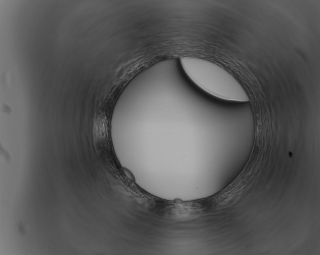 X0000091090623200708061000