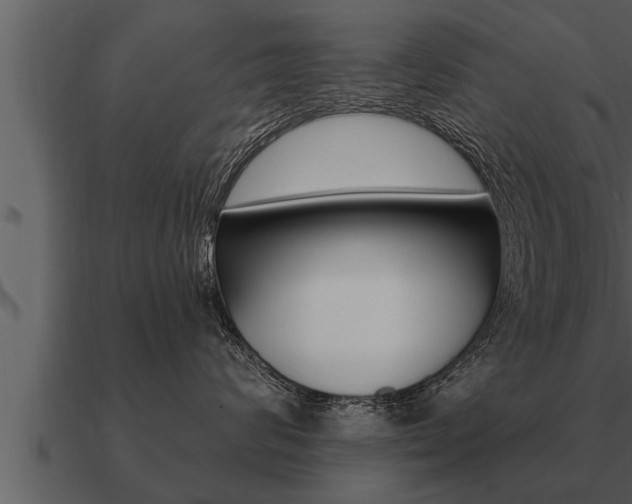 X0000091090624200708061000