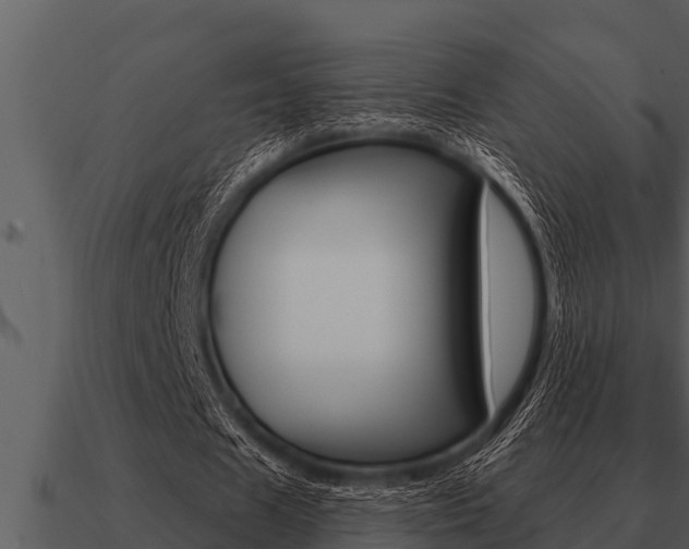 X0000091090625200708060959