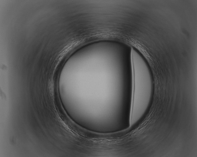 X0000091090626200708060959