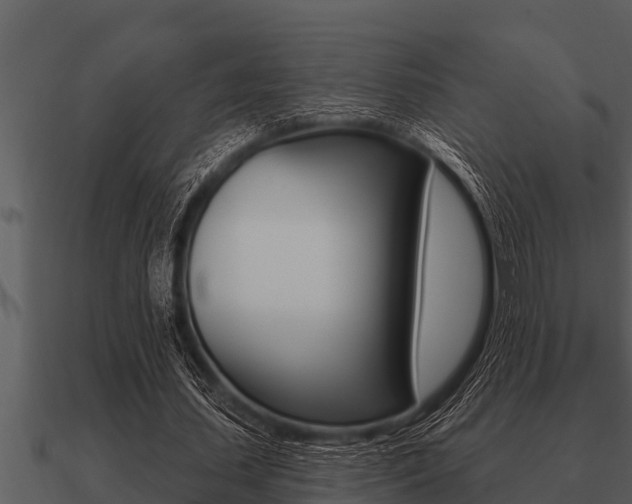 X0000091090627200708060959