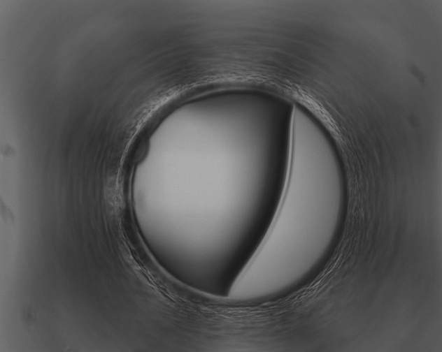 X0000091090628200708061000
