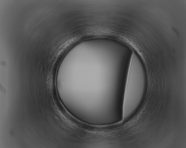 X0000091090629200708061000