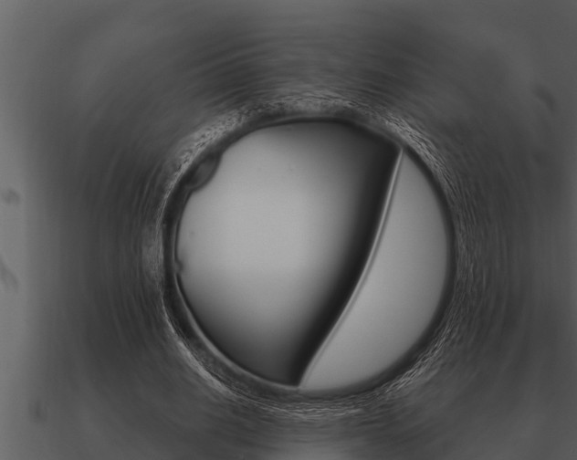 X0000091090630200708061000