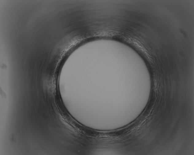 X0000091090632200708061000