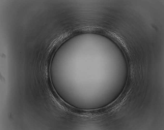X0000091090633200708061000