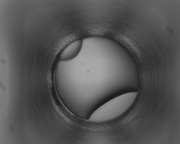 X0000091090634200708061000