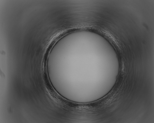 X0000091090636200708061000
