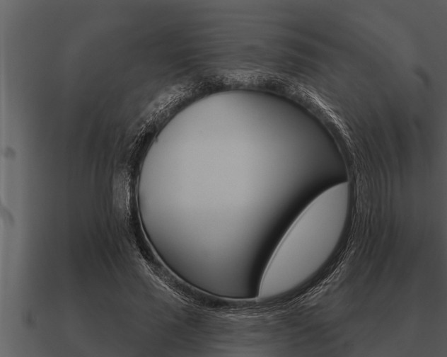 X0000091090637200708061000