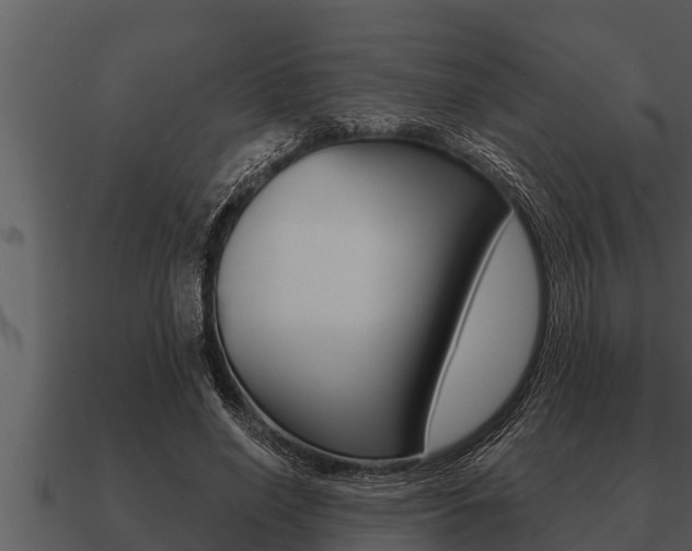 X0000091090638200708061000