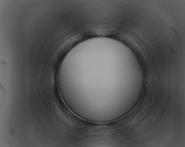 X0000091090639200708061000