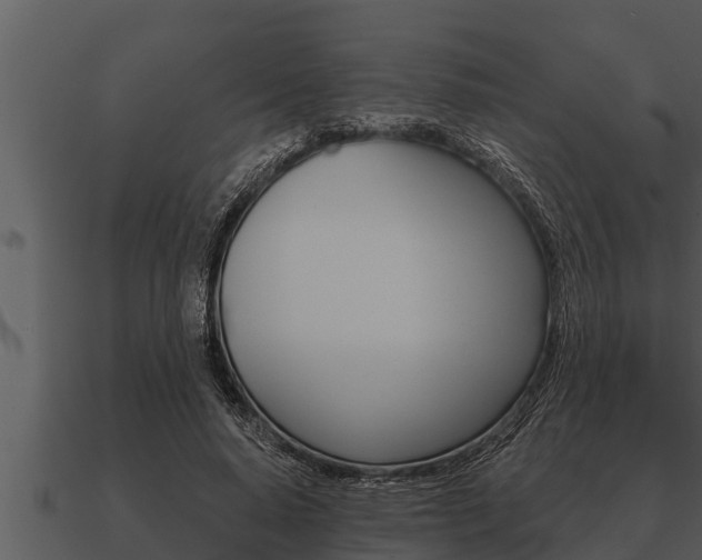 X0000091090640200708061000