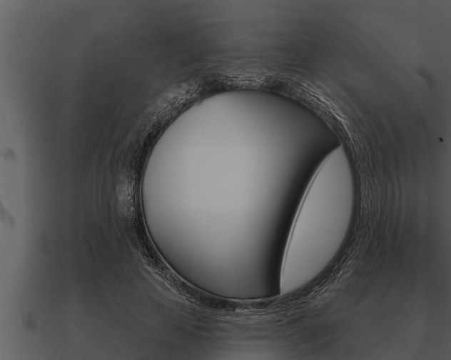X0000091090641200708061000