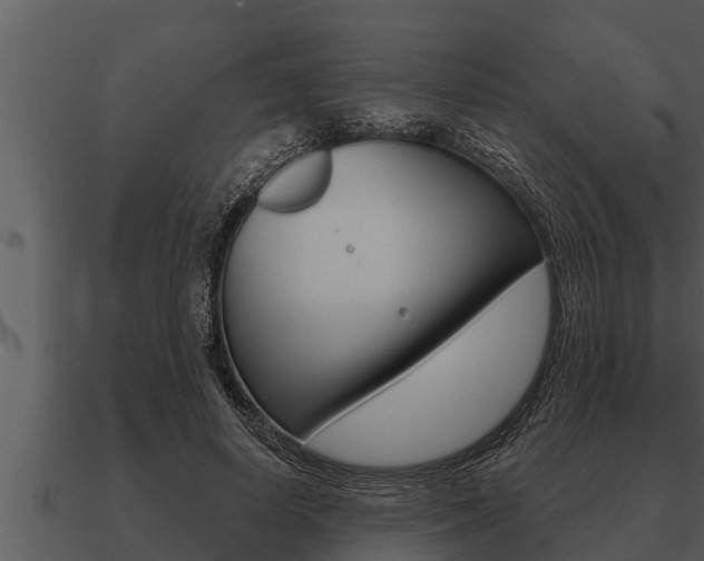 X0000091090642200708061000