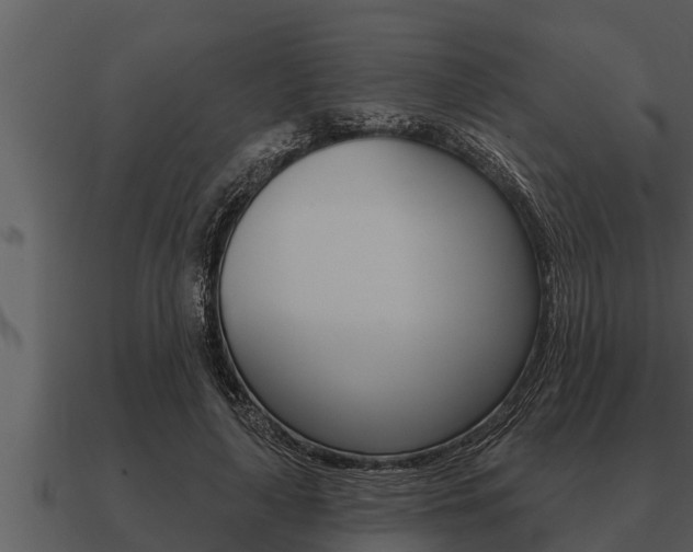 X0000091090643200708061000