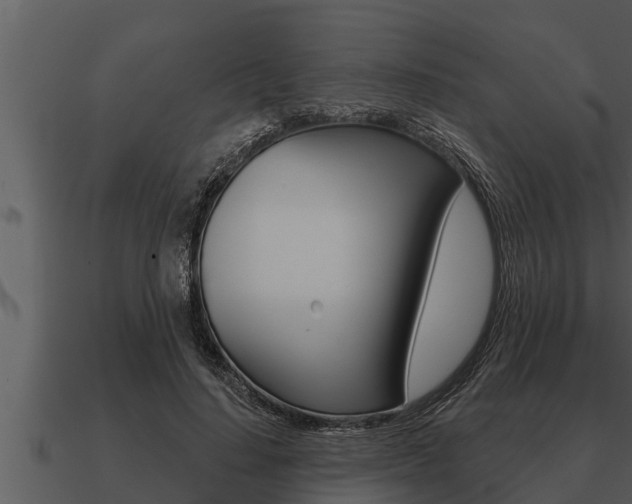 X0000091090644200708061000