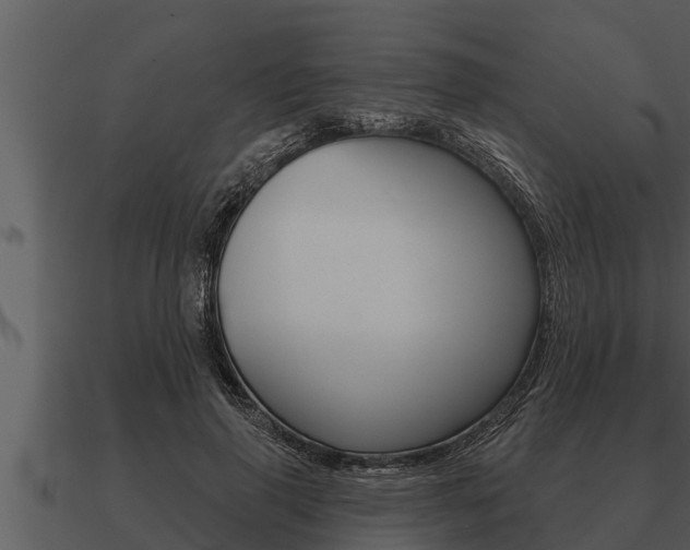 X0000091090645200708061000
