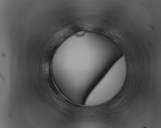 X0000091090646200708061000
