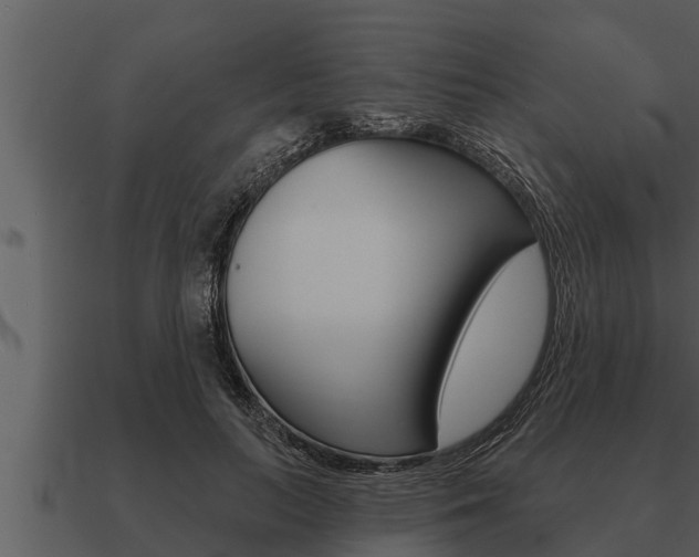 X0000091090647200708061000
