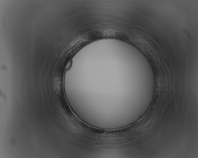 X0000091090648200708061000