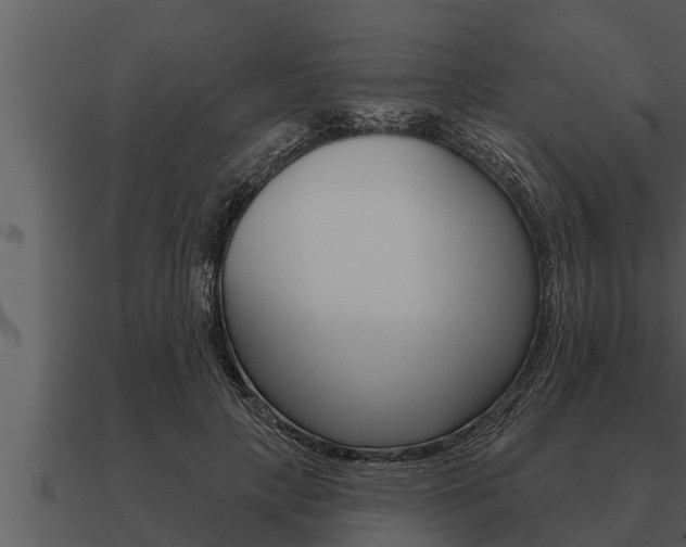 X0000091090649200708061000