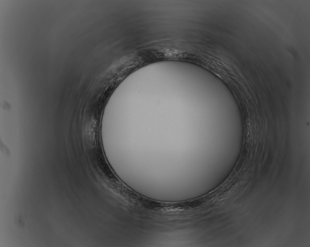X0000091090650200708061000