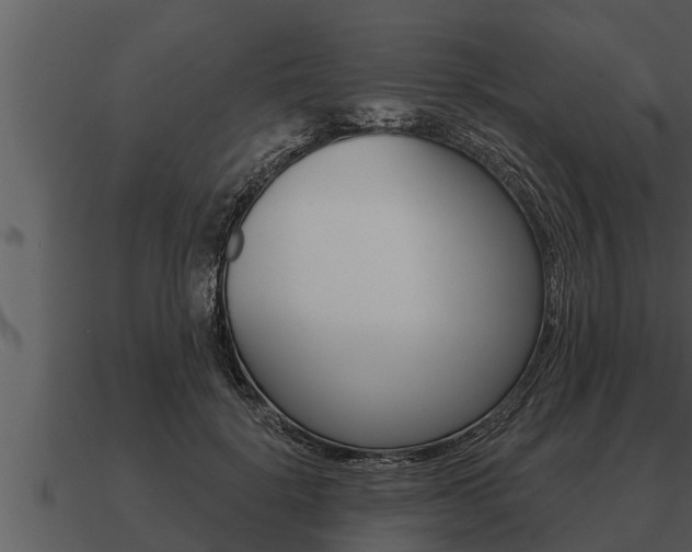 X0000091090652200708061000