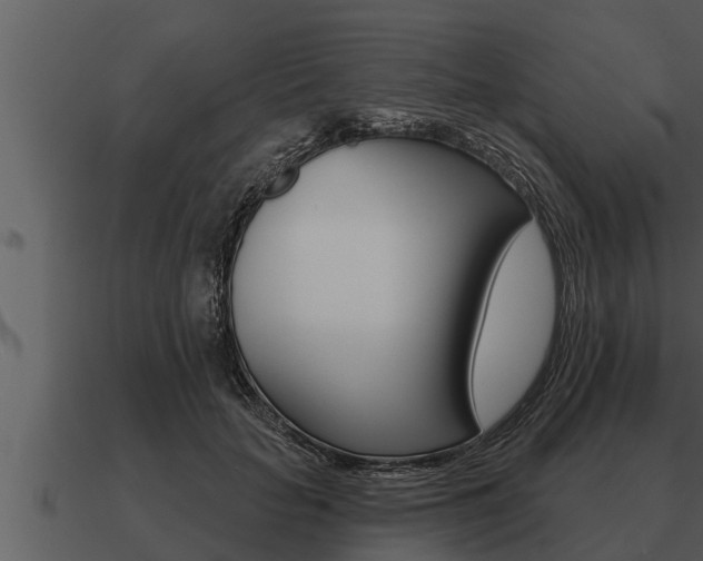 X0000091090653200708061000