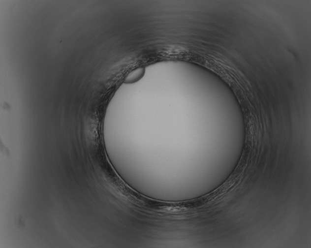 X0000091090654200708061000