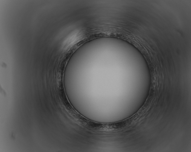 X0000091090656200708061000