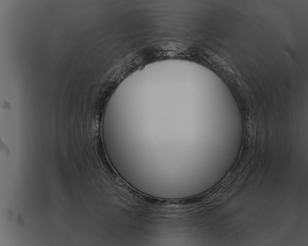 X0000091090657200708061000