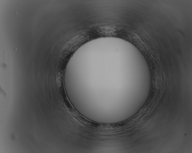 X0000091090658200708061000