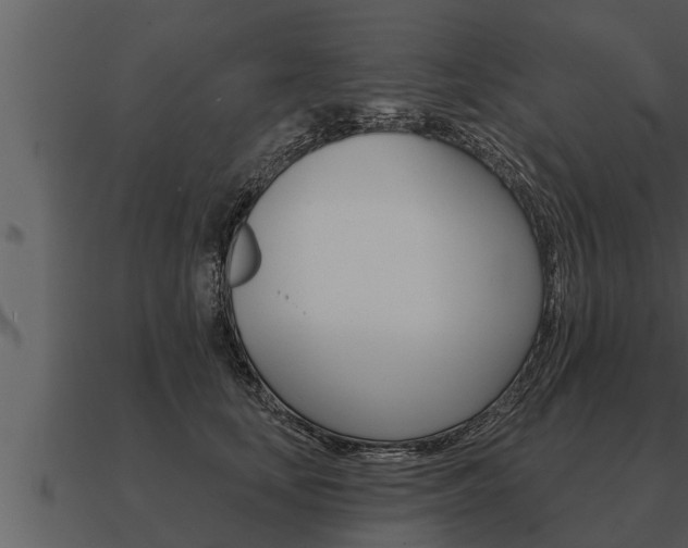 X0000091090659200708061000