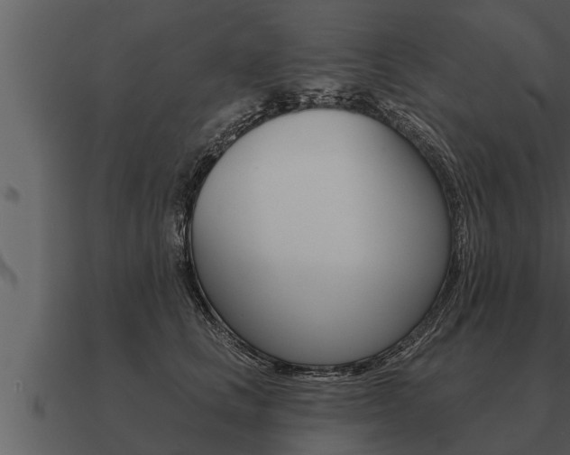 X0000091090661200708061000