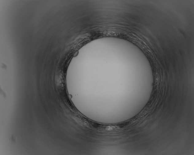 X0000091090663200708061000