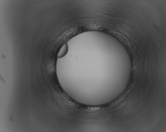 X0000091090665200708061000