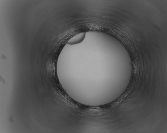 X0000091090666200708061000