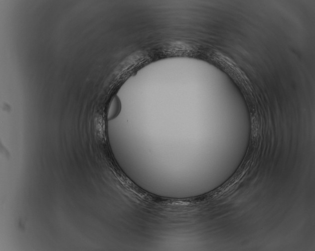 X0000091090669200708061000