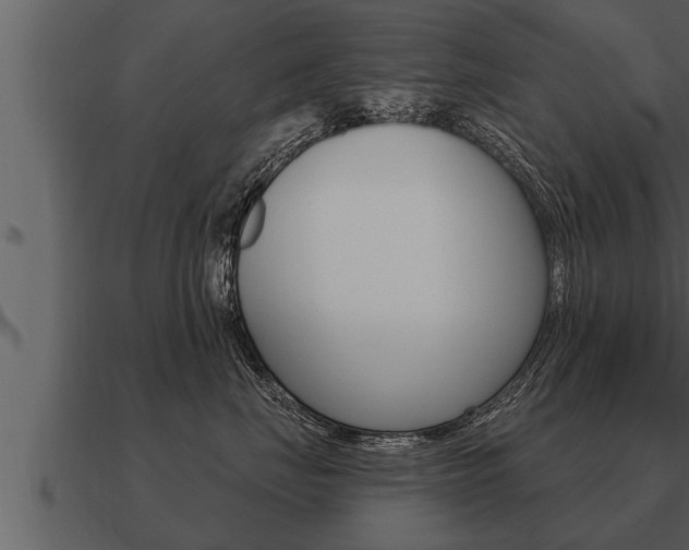 X0000091090671200708061000