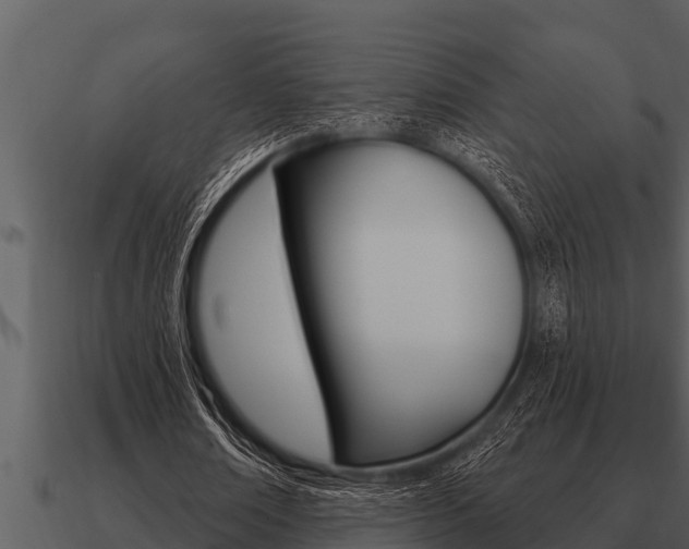 X0000091090674200708060959