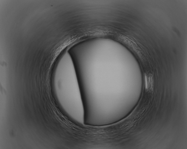 X0000091090675200708060959