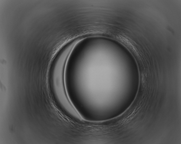 X0000091090676200708060959