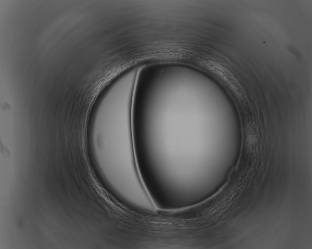 X0000091090677200708060959
