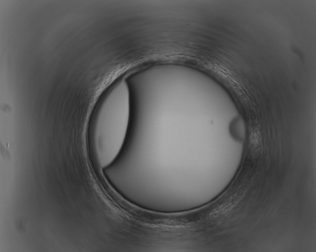 X0000091090678200708060959