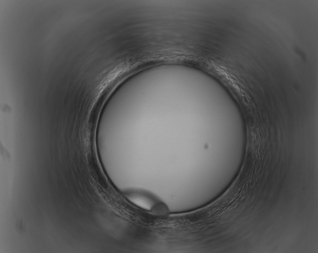 X0000091090679200708060959