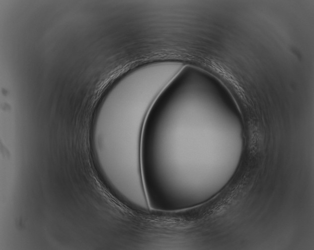 X0000091090681200708060959