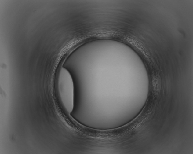 X0000091090682200708060959